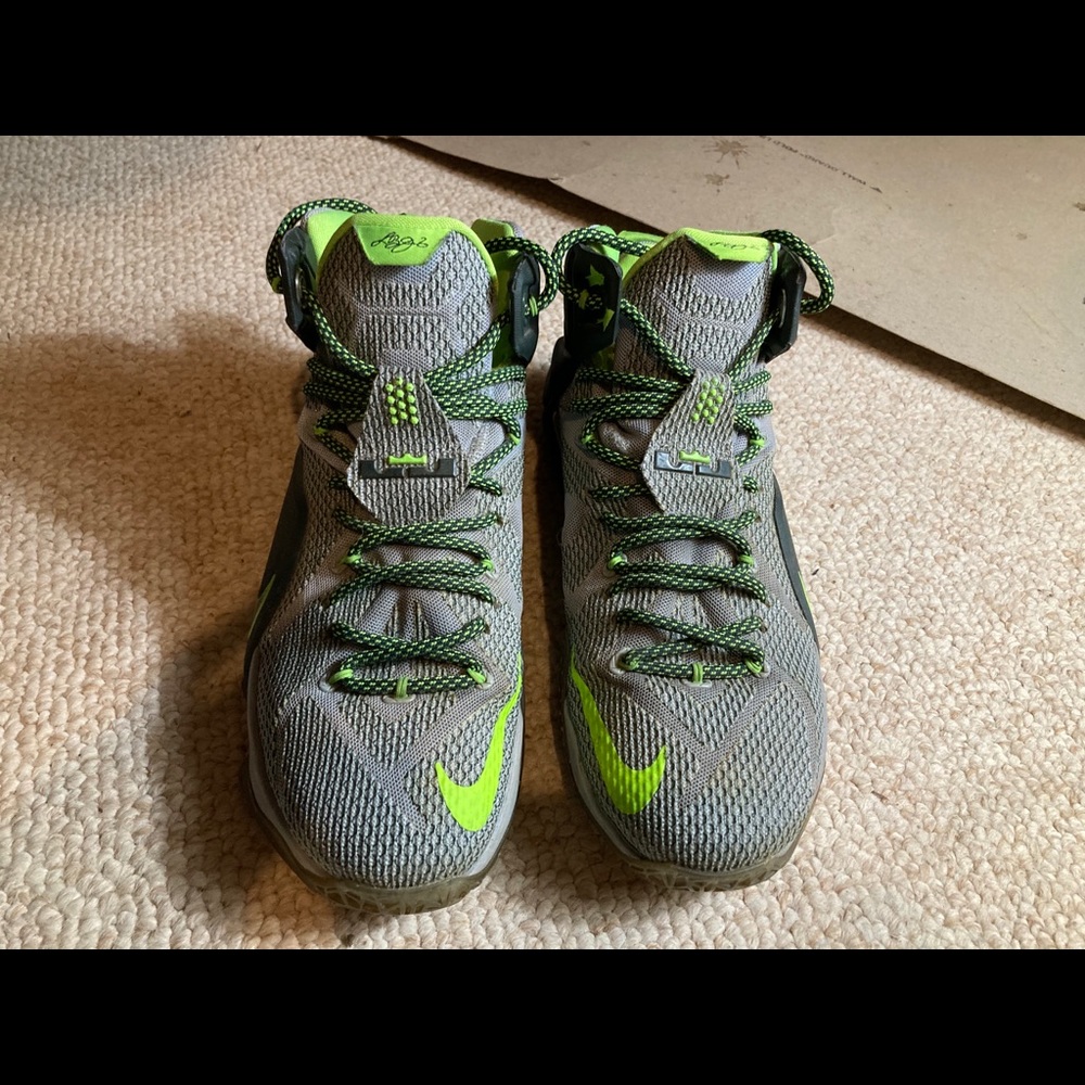 Nike lebron 12 dunk force